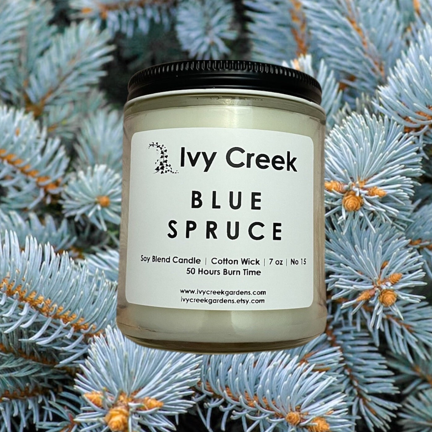 No 15 | Blue Spruce Soy Blend Candle | Hand Poured | 7 oz | Cotton Wick | Small Batch | Clean Burning | Container Candle